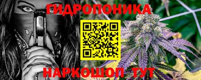 винт Сланцы