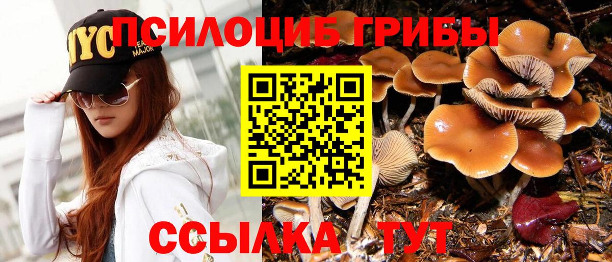 купить наркотики цена  Псилоцибиновые грибы прущие грибы  Вход с VPN  Новосибирск 